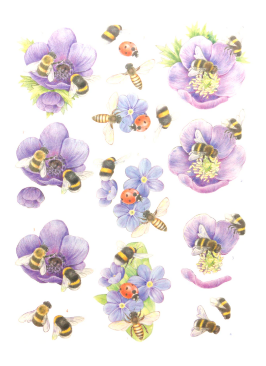 3D Diecut Pushout Embellishments - Multiple Designs